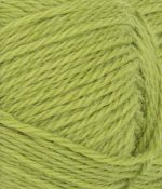 9825 Sunny Lime